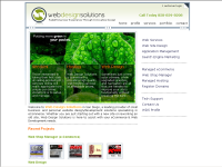 Web Design Solutions